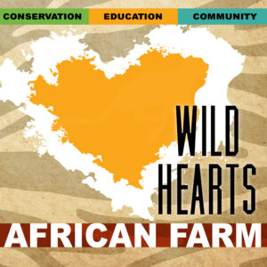 Wild Hearts African Farm